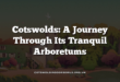 Cotswolds: A Journey Through Its Tranquil Arboretums