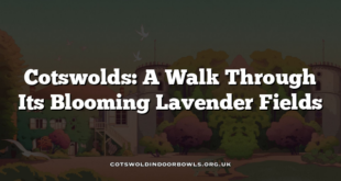 Cotswolds: A Walk Through Its Blooming Lavender Fields