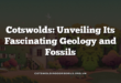 Cotswolds: Unveiling Its Fascinating Geology and Fossils