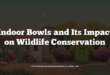 Indoor Bowls and Its Impact on Wildlife Conservation