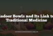 Indoor Bowls and Its Link to Traditional Medicine