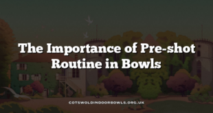 The Importance of Pre-shot Routine in Bowls