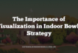 The Importance of Visualization in Indoor Bowls Strategy