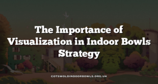 The Importance of Visualization in Indoor Bowls Strategy